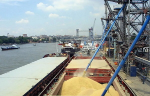 Экспорт зерна остановится уже в мае