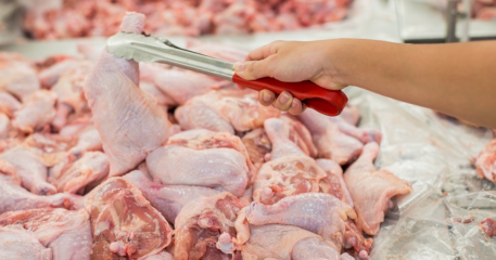 Публичные обсуждения Техрегламента ТС «О безопасности мяса птицы» начались 8 декабря текущего года