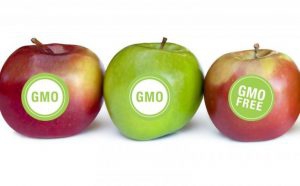 Новое в маркировке продукции, содержащей ГМО