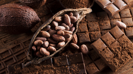 Евразийская экономическая комиссия временно снижает ставку таможенной пошлины на какао-продукты до 0%