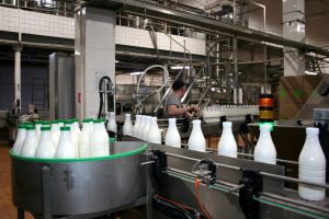 Российские молокозаводы проморгали свои торговые марки в Китае