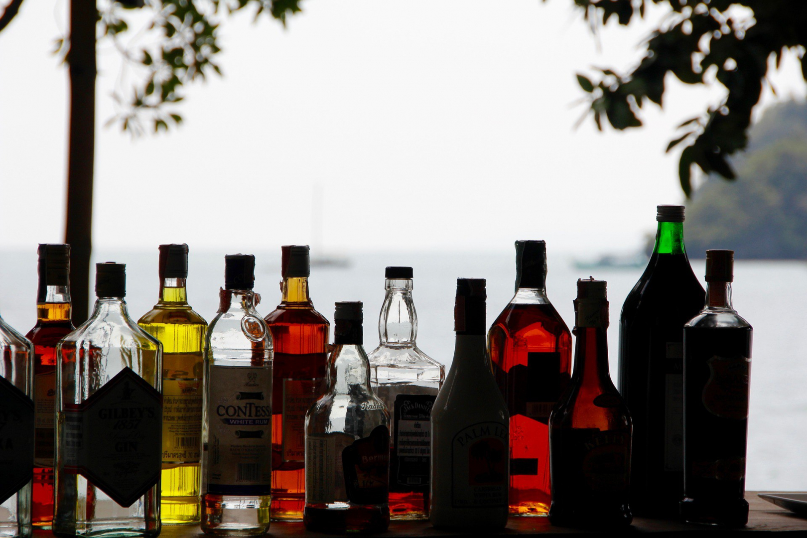 Оформить Технический регламент на алкогольную продукцию в Ульяновске
